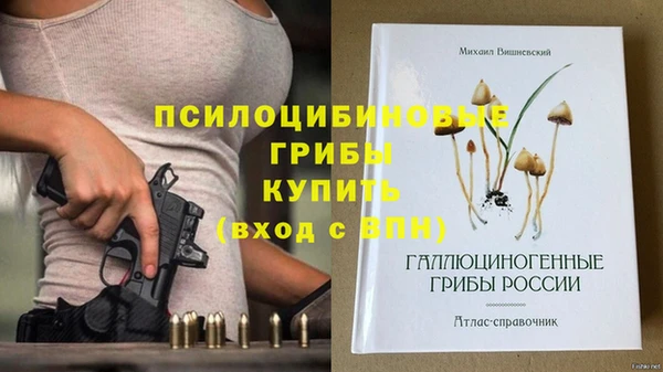 кристаллы Белокуриха