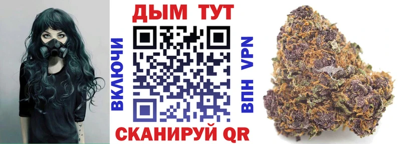 Канабис OG Kush  Элиста 